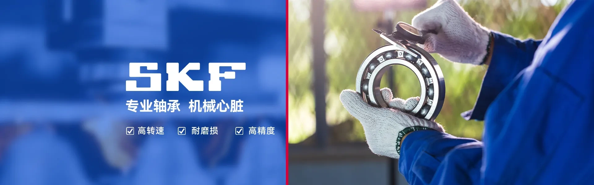 上海睿博凯轴承有限公司
